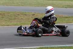 293IMGL0898