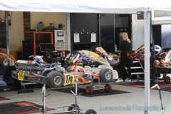 337IMG_6109